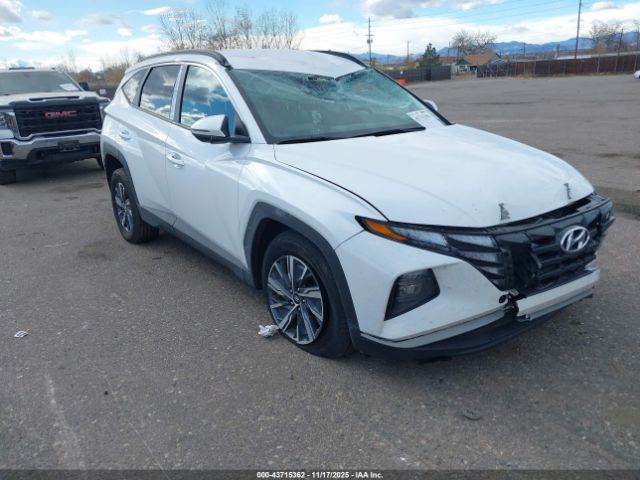 2023 HYUNDAI TUCSON HYBRID KM8JBCA18PU136561
