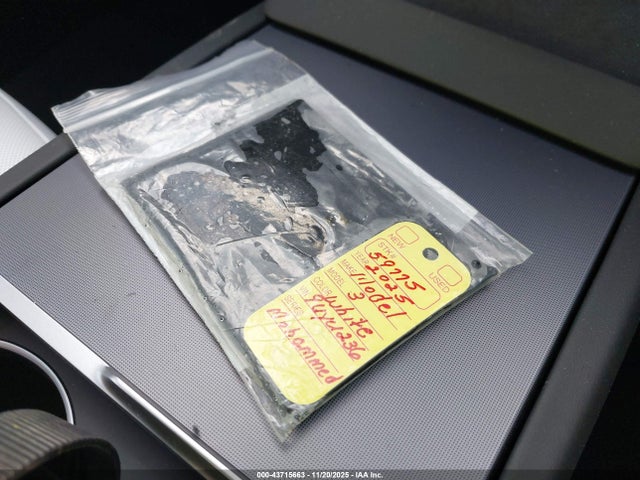 2025 TESLA MODEL 3 5YJ3E1EAXSF062595 Photo 10