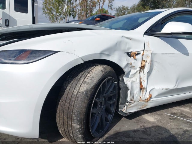 2025 TESLA MODEL 3 5YJ3E1EAXSF062595 Photo 5