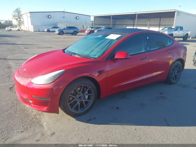 2023 TESLA MODEL 3 5YJ3E1EAXPF616113 Photo 1