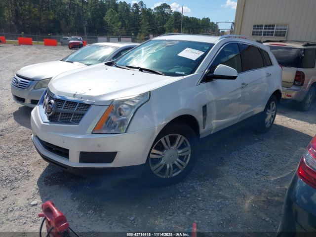 2010 CADILLAC SRX 3GYFNAEY4AS607345 Photo 1