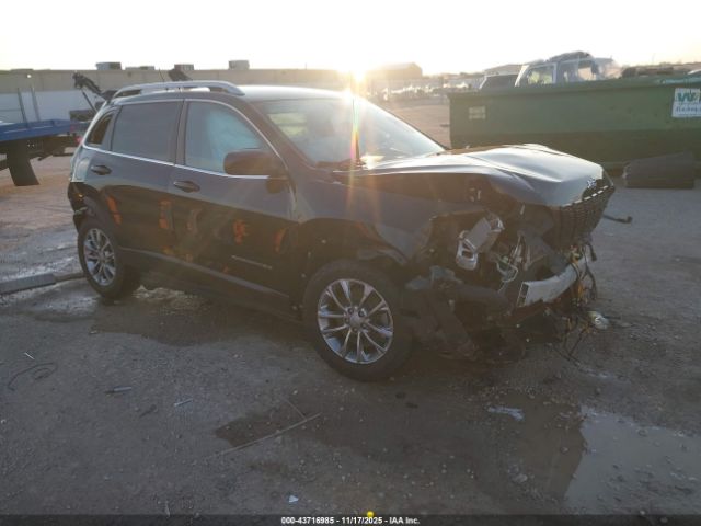 2019 JEEP CHEROKEE 1C4PJLLN9KD147532