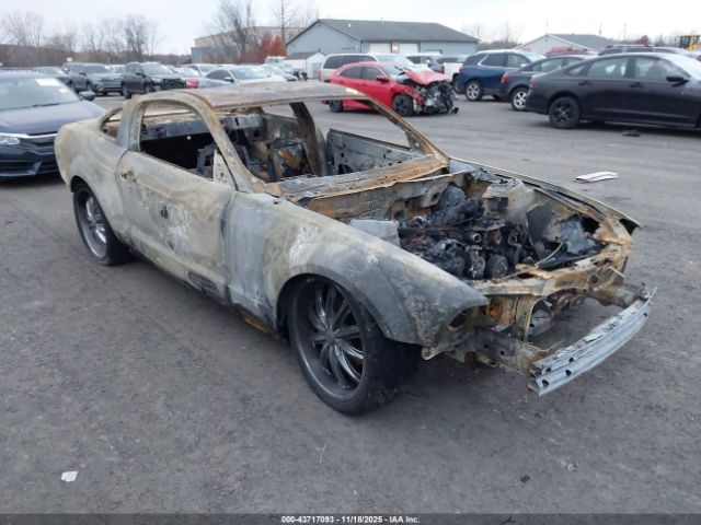 2006 FORD MUSTANG 1ZVFT82H365133766