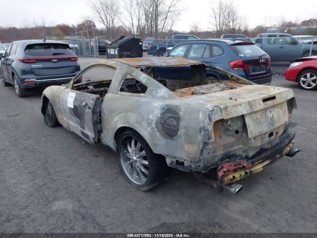 2006 FORD MUSTANG 1ZVFT82H365133766 Photo 2