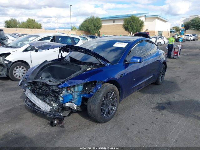 2024 TESLA MODEL 3 5YJ3E1EA4RF871245 Photo 5
