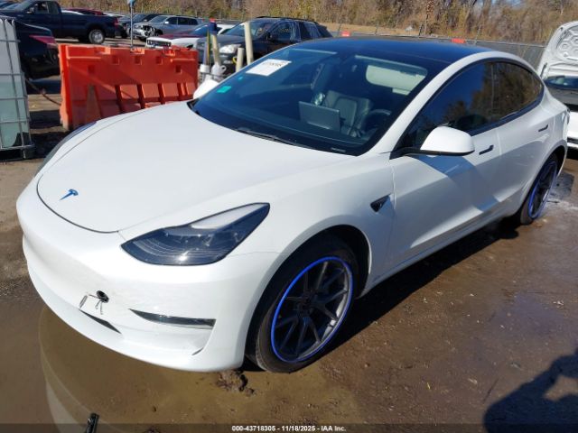 2022 TESLA MODEL 3 5YJ3E1EB7NF174767 Photo 1