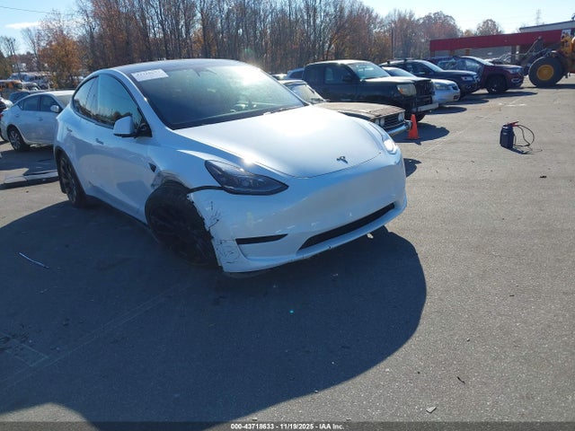 2023 TESLA MODEL Y 7SAYGAEE6PF637708 Photo 0