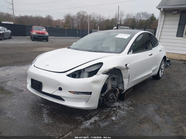 2022 TESLA MODEL 3 5YJ3E1EA8NF303350 Photo 1