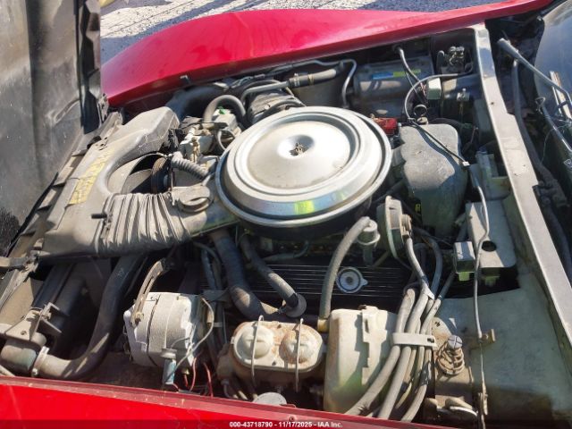 1981 CHEVROLET CORVETTE 1G1AY876XBS403604 Photo 9