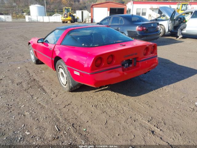 1985 CHEVROLET CORVETTE 1G1YY0782F5138599 Photo 2
