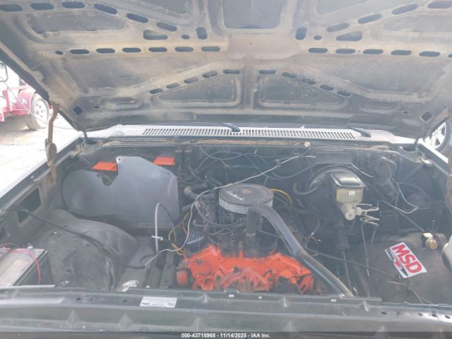 1987 CHEVROLET R10 1GCDR14Z9HF367185 Photo 9