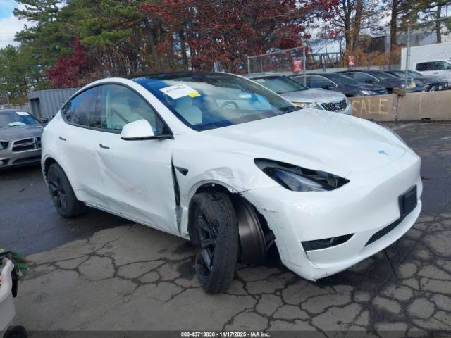 2025 TESLA MODEL Y 7SAYGDEE8SF301889