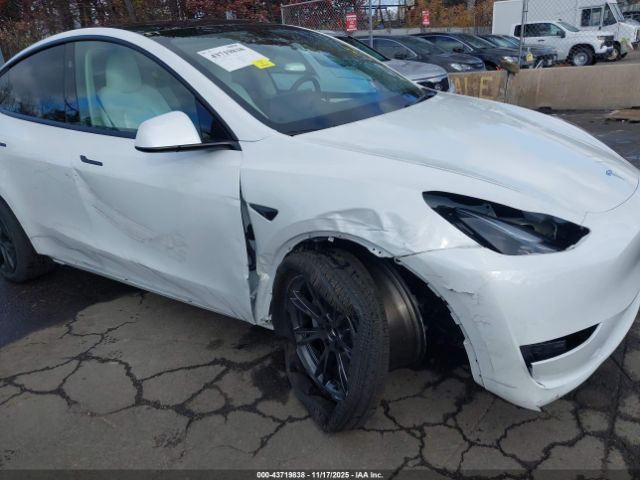 2025 TESLA MODEL Y 7SAYGDEE8SF301889 Photo 5
