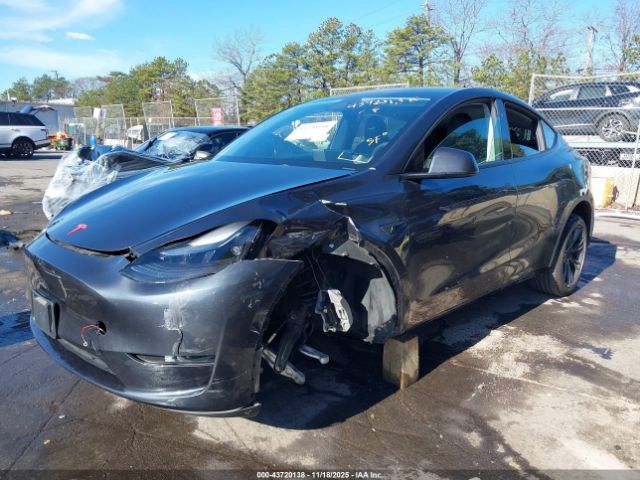 2024 TESLA MODEL Y 7SAYGDEE2RF166645 Photo 1