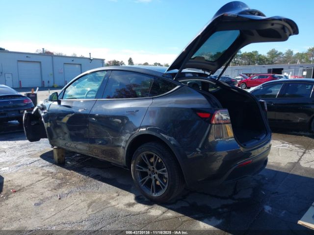 2024 TESLA MODEL Y 7SAYGDEE2RF166645 Photo 2