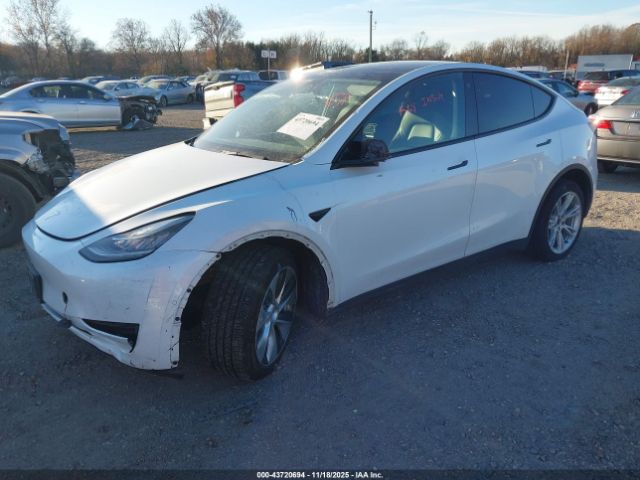 2022 TESLA MODEL Y 7SAYGDEE1NF321826 Photo 1