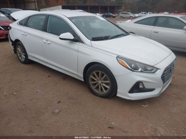 2019 HYUNDAI SONATA 5NPE24AF3KH797117