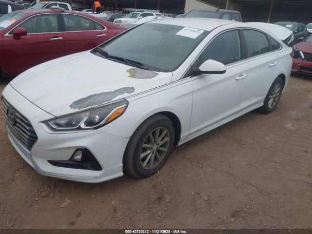 2019 HYUNDAI SONATA 5NPE24AF3KH797117 Photo 1