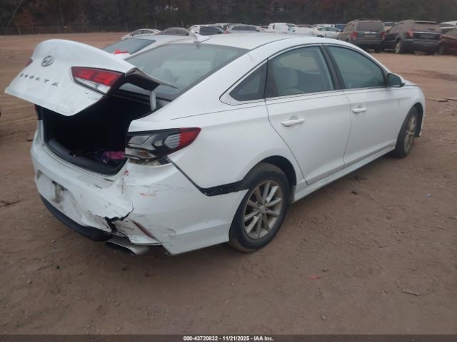 2019 HYUNDAI SONATA 5NPE24AF3KH797117 Photo 3