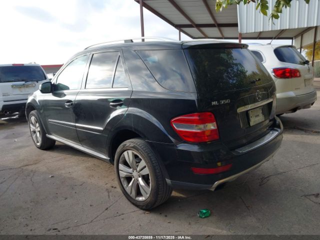2009 MERCEDES-BENZ ML 350 4JGBB56E09A505235 Photo 2