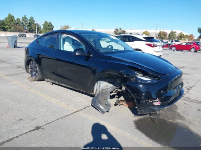 2023 TESLA MODEL Y 7SAYGDEF4PF847654