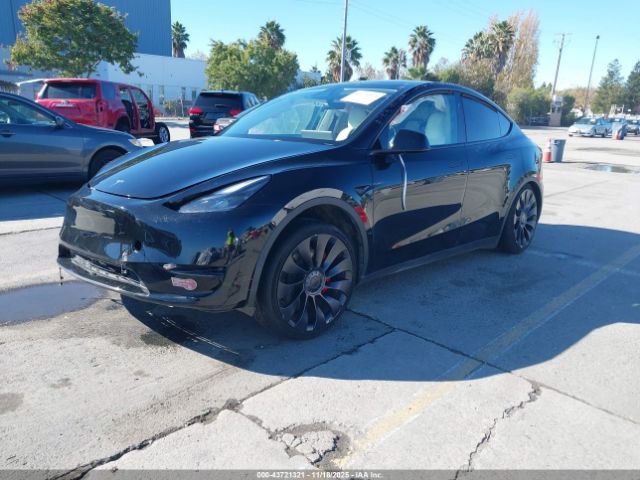 2023 TESLA MODEL Y 7SAYGDEF4PF847654 Photo 1