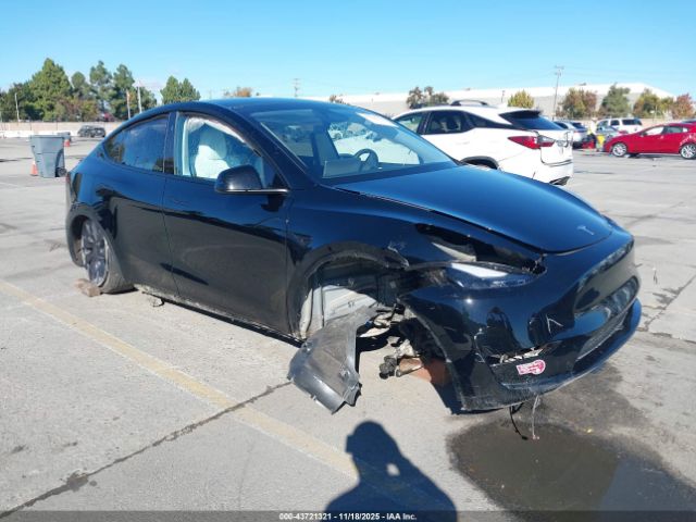 2023 TESLA MODEL Y 7SAYGDEF4PF847654 Photo 5
