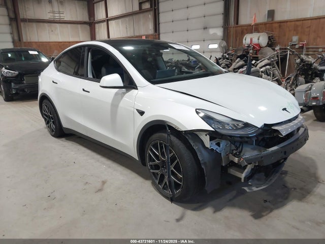 2020 TESLA MODEL Y 5YJYGDEE7LF011058 Photo 0