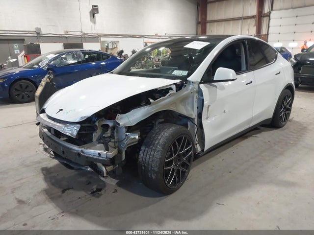 2020 TESLA MODEL Y 5YJYGDEE7LF011058 Photo 1