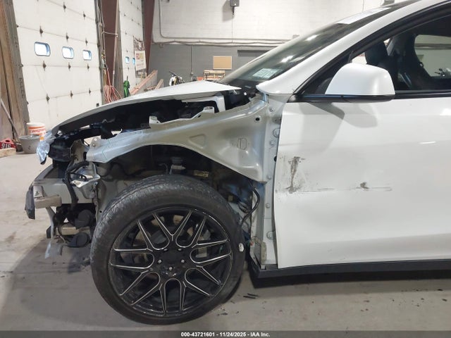 2020 TESLA MODEL Y 5YJYGDEE7LF011058 Photo 5