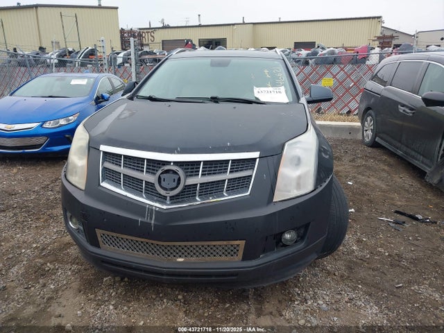 43721718 :رقم المزاد ، 3GYFNAEYXAS646621 vin ، 2010 Cadillac Srx Luxury Collection مزاد بيع