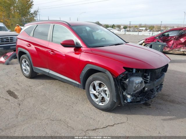 2024 HYUNDAI TUCSON 5NMJBCDE7RH407302