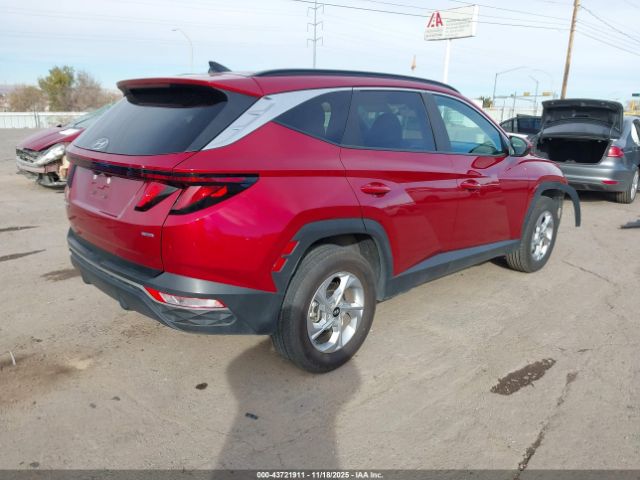 2024 HYUNDAI TUCSON 5NMJBCDE7RH407302 Photo 3