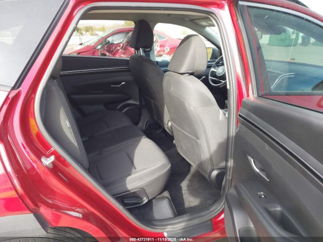 2024 HYUNDAI TUCSON 5NMJBCDE7RH407302 Photo 7