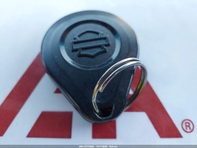 2021 HARLEY-DAVIDSON FXLRS 1HD1YWK11MB027917 Photo 10