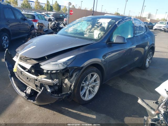 2023 TESLA MODEL Y 7SAYGAEE6PF743446 Photo 1