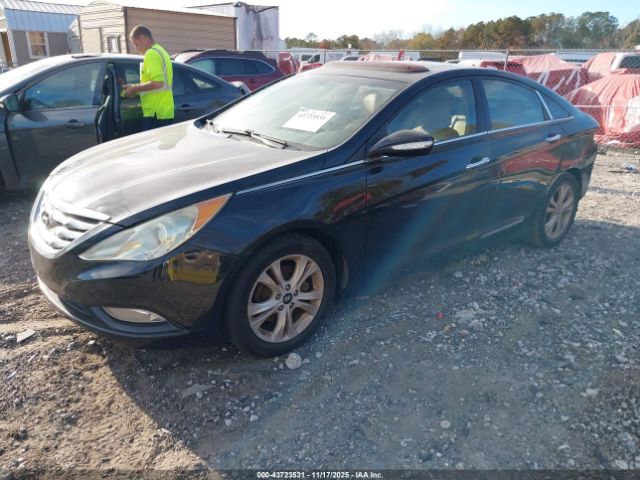 2011 HYUNDAI SONATA 5NPEC4AC3BH103156 Photo 1