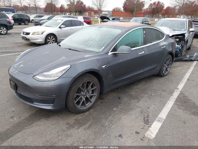 2019 TESLA MODEL 3 5YJ3E1EA3KF307527 Photo 1