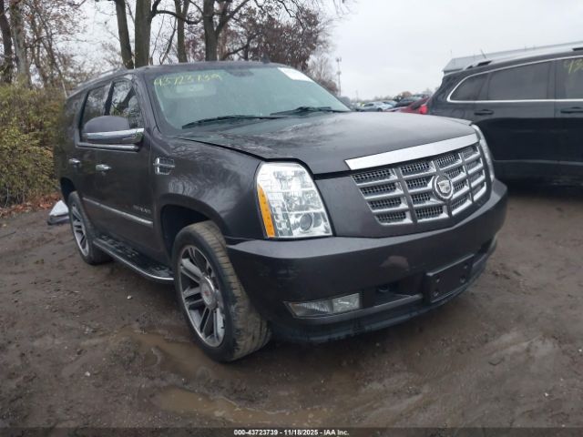2011 CADILLAC ESCALADE 1GYS4BEF0BR266603