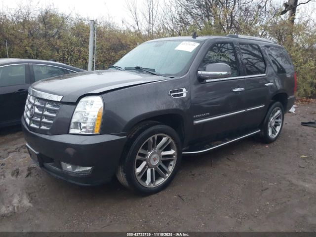 2011 CADILLAC ESCALADE 1GYS4BEF0BR266603 Photo 1