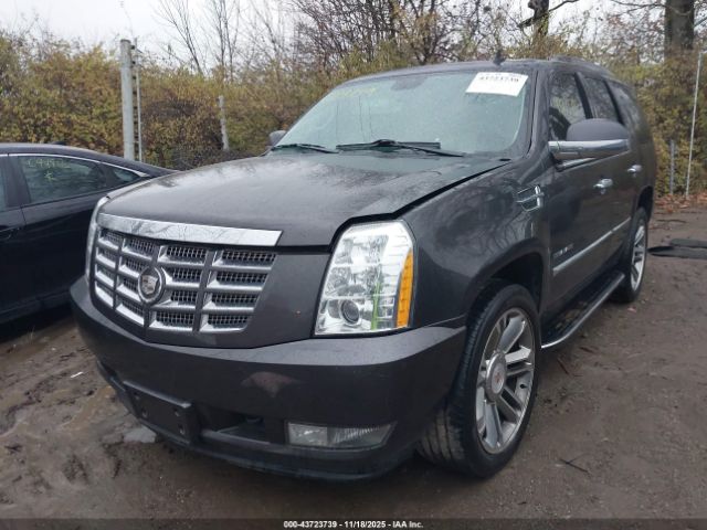 2011 CADILLAC ESCALADE 1GYS4BEF0BR266603 Photo 5