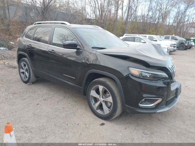 2019 JEEP CHEROKEE 1C4PJMDX3KD464471