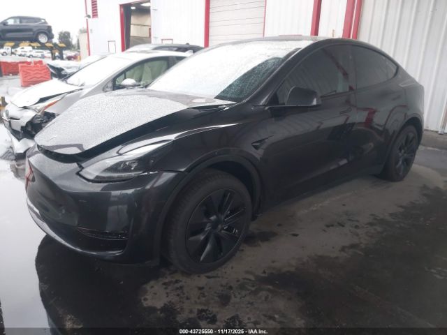 2024 TESLA MODEL Y 7SAYGDEDXRF151981 Photo 1