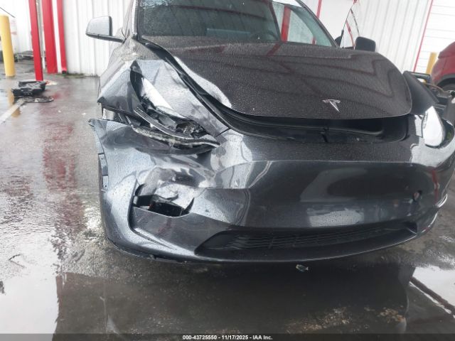2024 TESLA MODEL Y 7SAYGDEDXRF151981 Photo 5