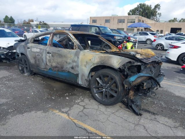 2019 DODGE CHARGER 2C3CDXGJ5KH510436