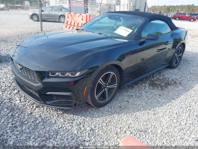 2024 FORD MUSTANG 1FAGP8UH6R5122778 Photo 1