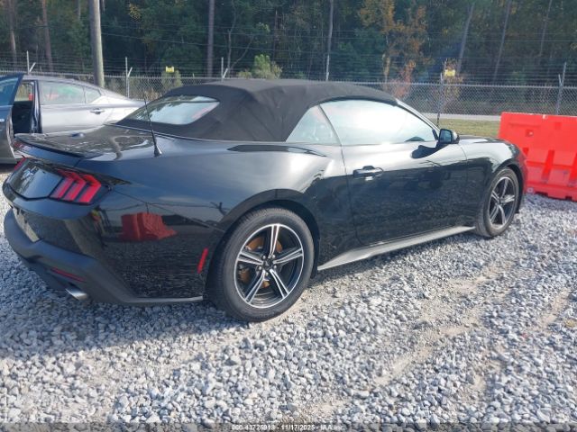 2024 FORD MUSTANG 1FAGP8UH6R5122778 Photo 3