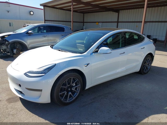 2020 TESLA MODEL 3 5YJ3E1EB7LF637536 Photo 1