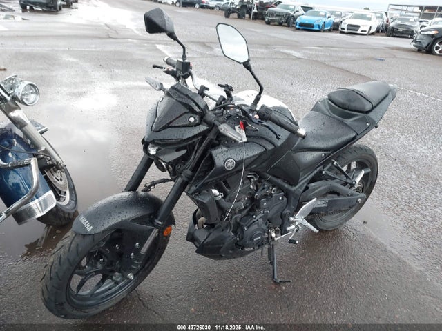 MH3RH20Y6PK009674 Yamaha Mt-03