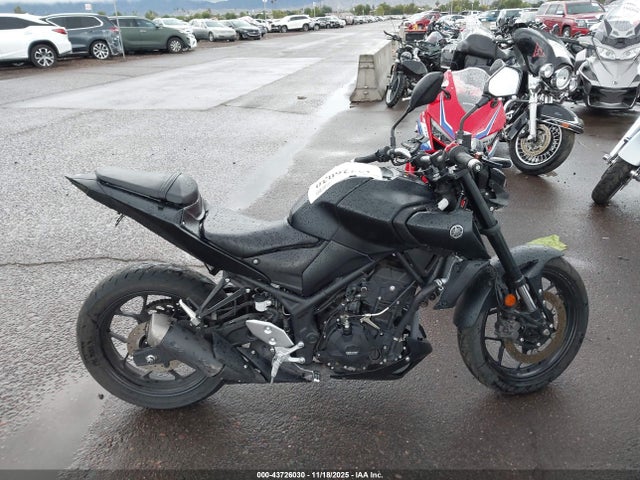 MH3RH20Y6PK009674 Yamaha Mt-03